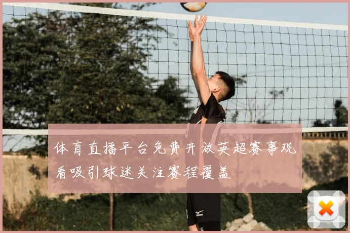 体育直播平台免费开放英超赛事观看吸引球迷关注赛程覆盖