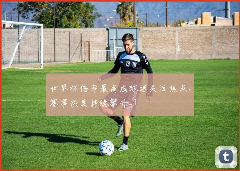 世界杯倍率最高成球迷关注焦点，赛事热度持续攀升_1